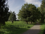grafika
